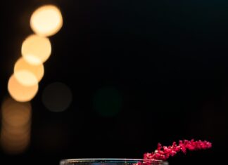 Originele cocktails voor je feest